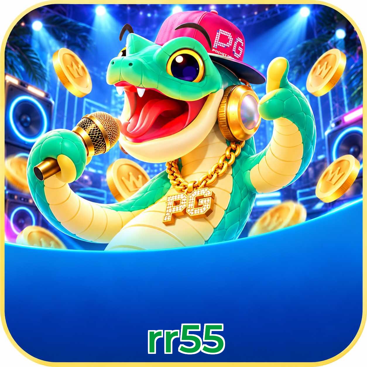 rr55 Instalar Logo 1